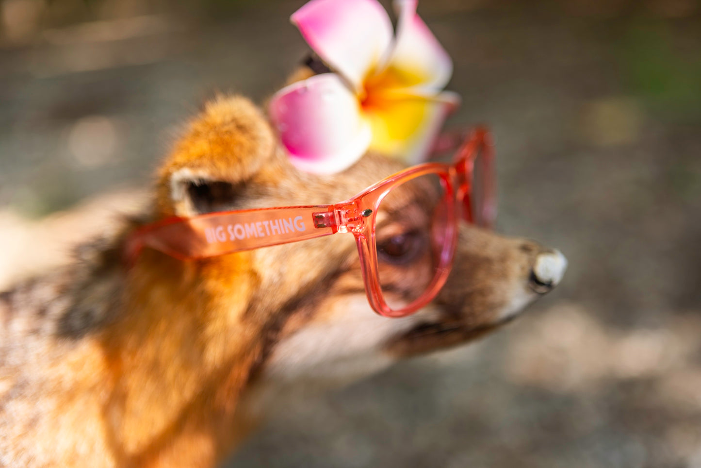 Color Therapy Glasses