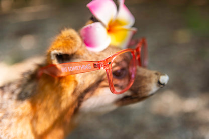 Color Therapy Glasses